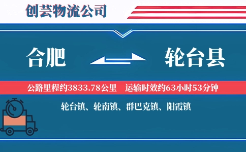 合肥到轮台县物流公司