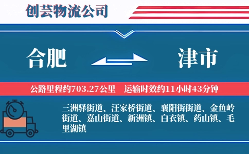 合肥到津市物流公司
