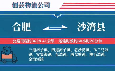 合肥到沙湾县物流公司