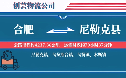 合肥到尼勒克县物流公司